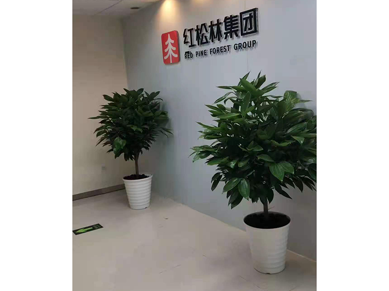合作案例实景