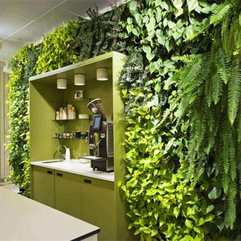 植物墙