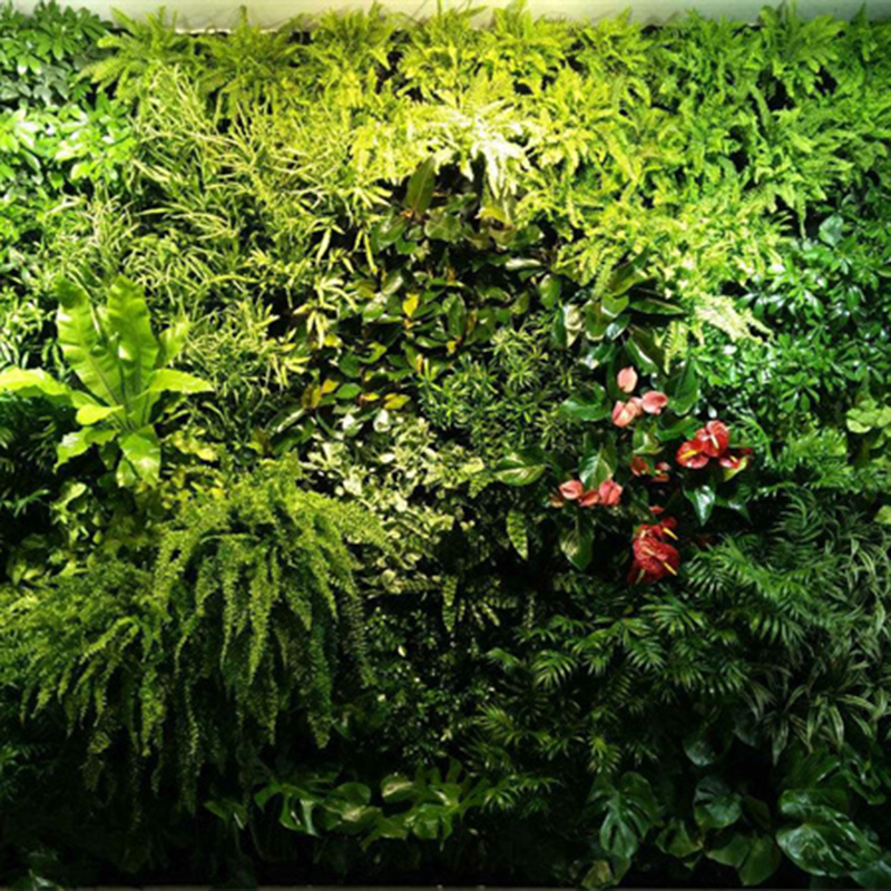 植物墙