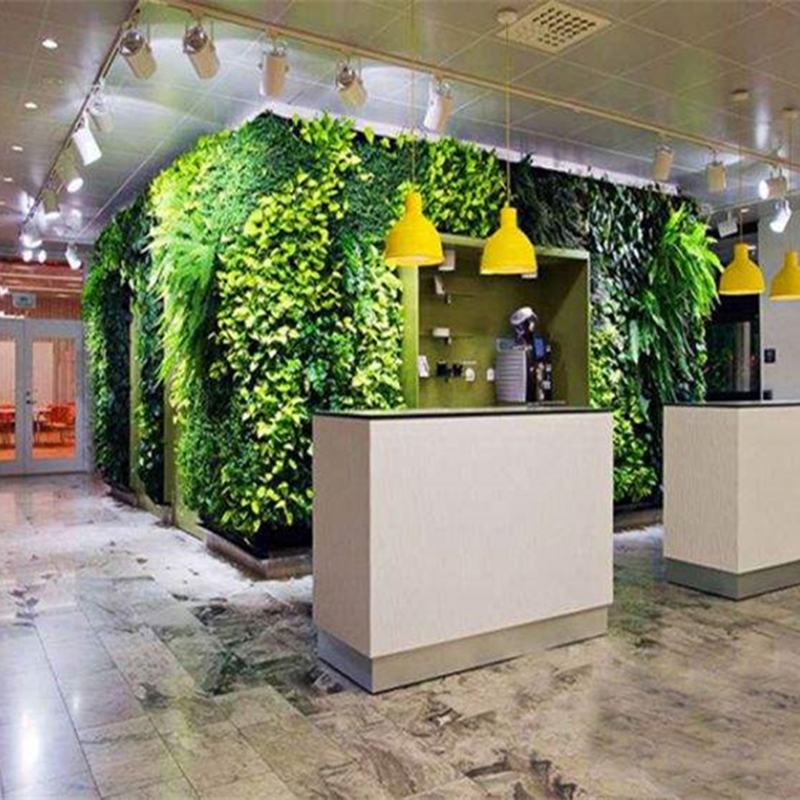 植物墙