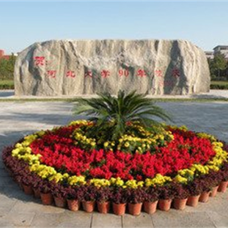 节日花坛