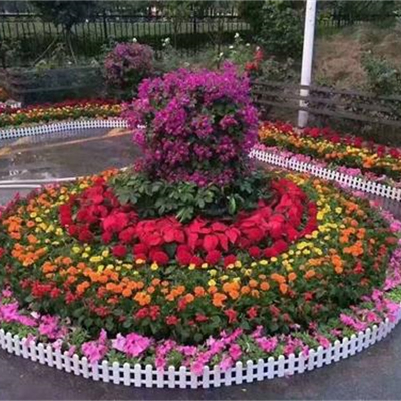 节日花坛
