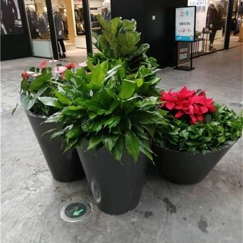组合绿植