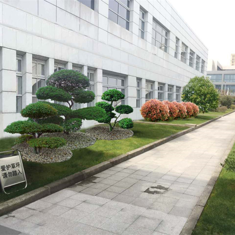 厂区绿化施工 养护