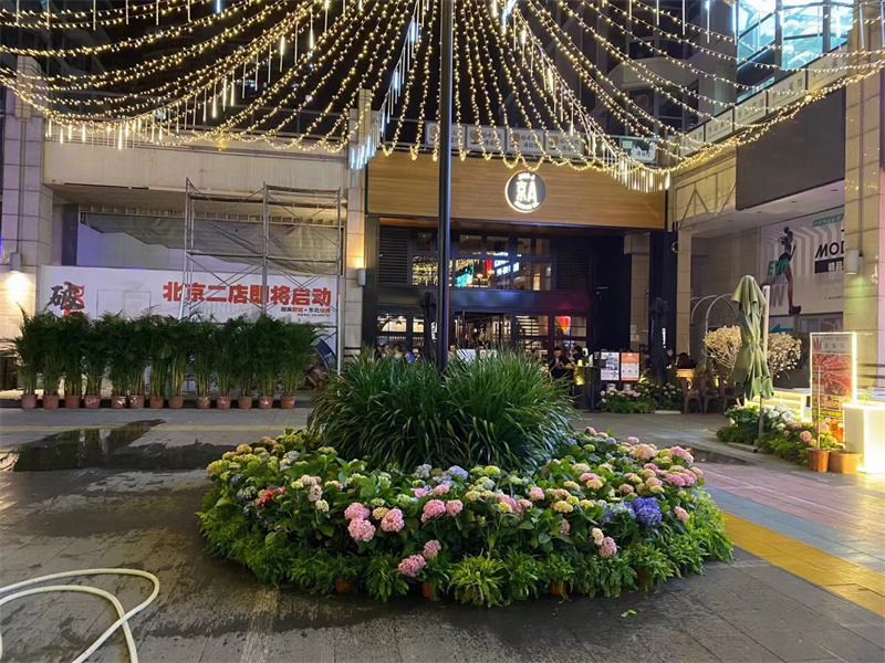 合作案例