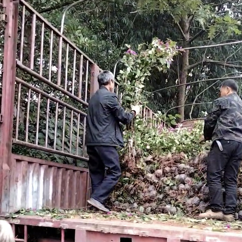 装车现场