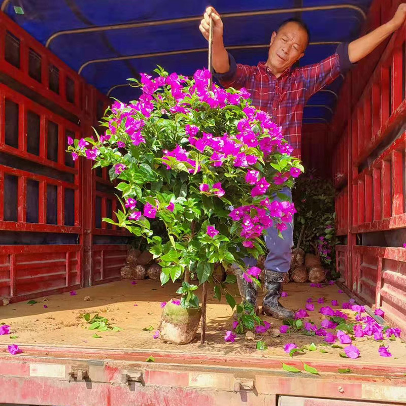 装车现场