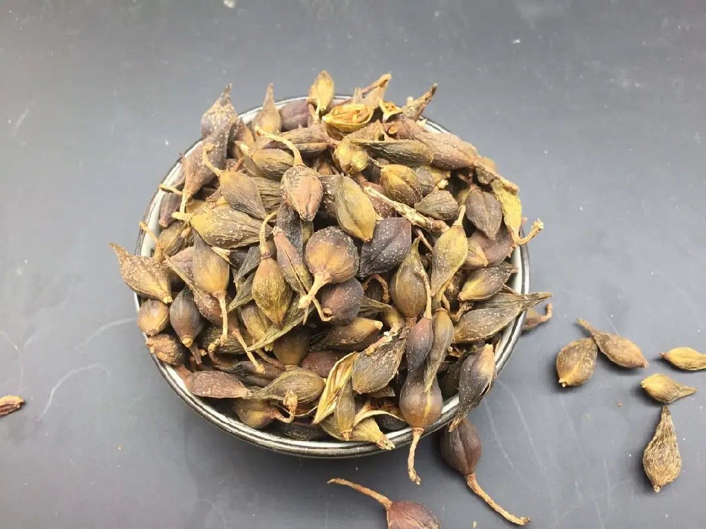 连翘的这5大功效，你了解几个?
