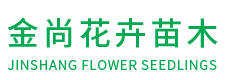 青州金尚花卉苗木有限公司