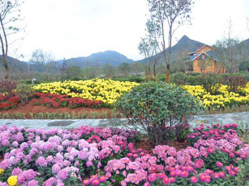 美丽乡村