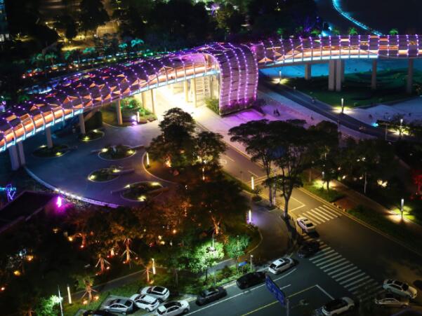 广州白云区追随党的脚步，为城市发展打造人才集聚高地
