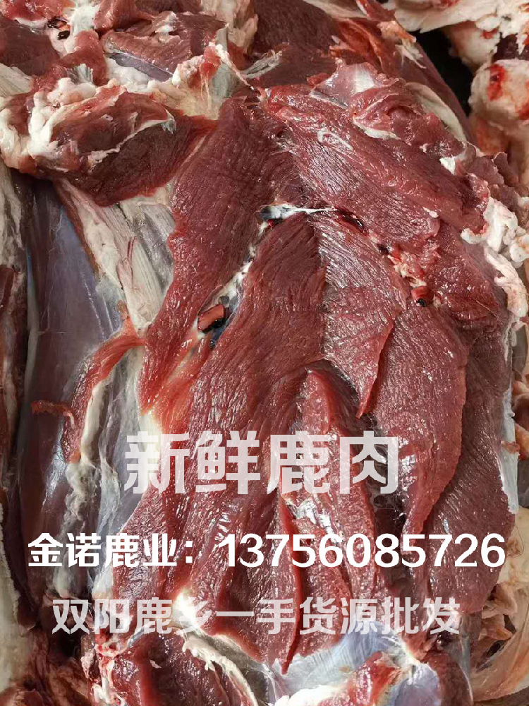 新鲜鹿肉