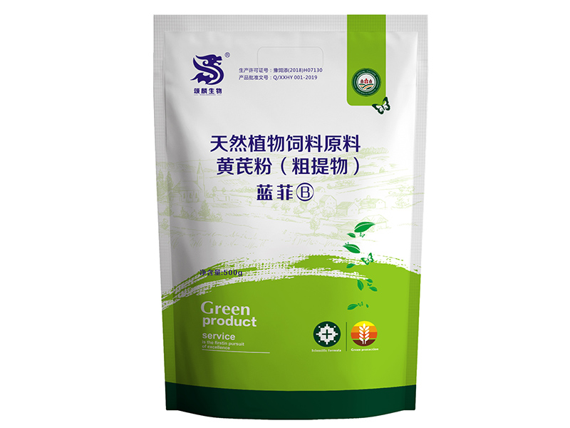 蓝菲2