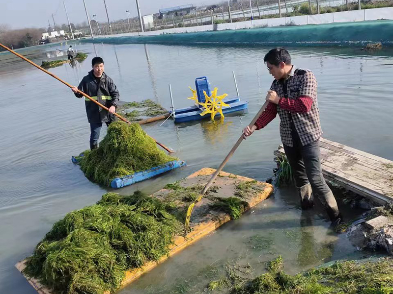 基地照片