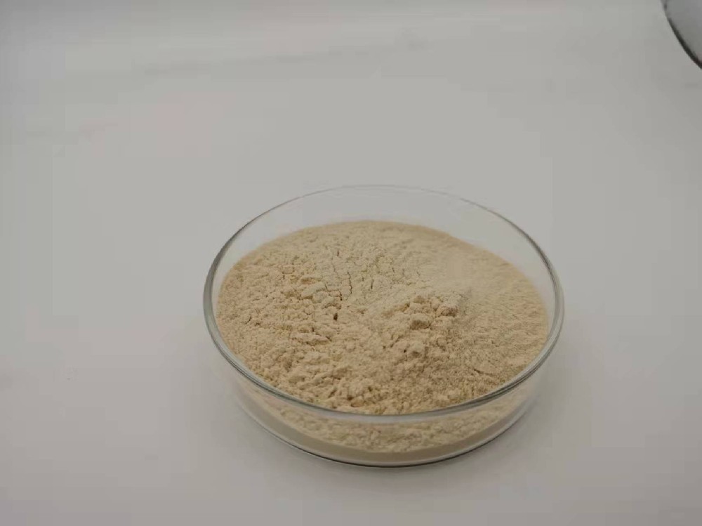 灯盏细辛（灯盏花	灯盏花素