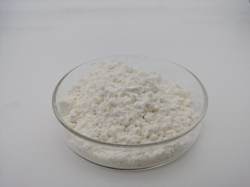 水牛角	水牛角浓缩粉