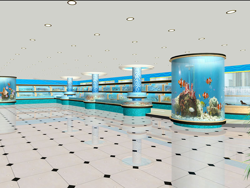 产品展示