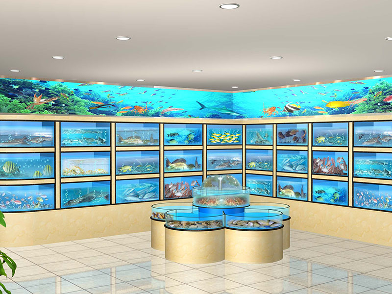 产品展示