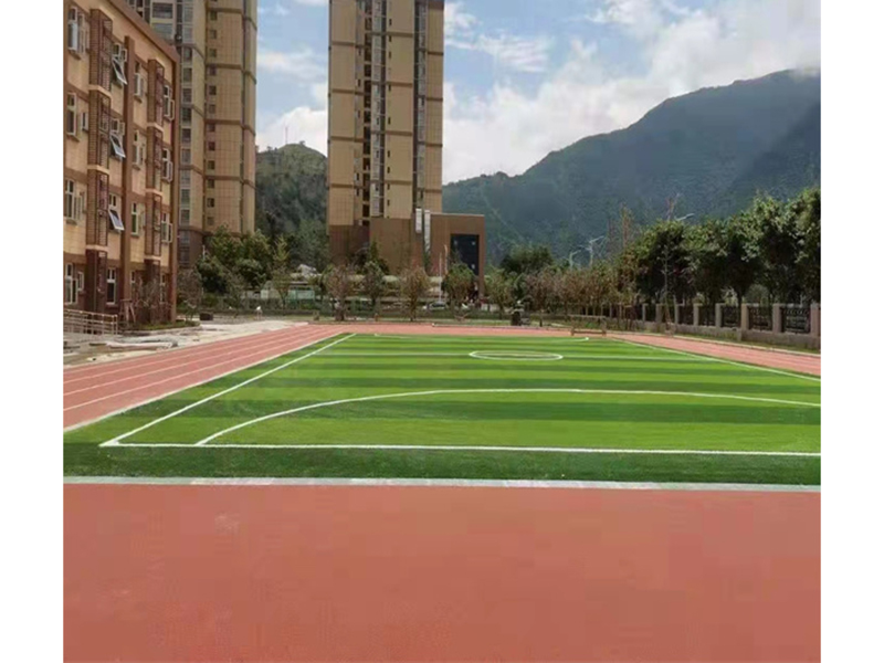 雅安石棉草八牌小学
