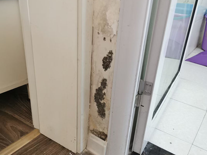 墙体潮湿，起皮发霉检测维修