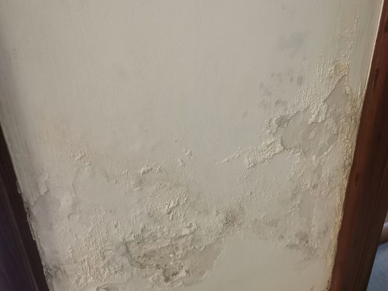 墙体潮湿，起皮发霉检测维修