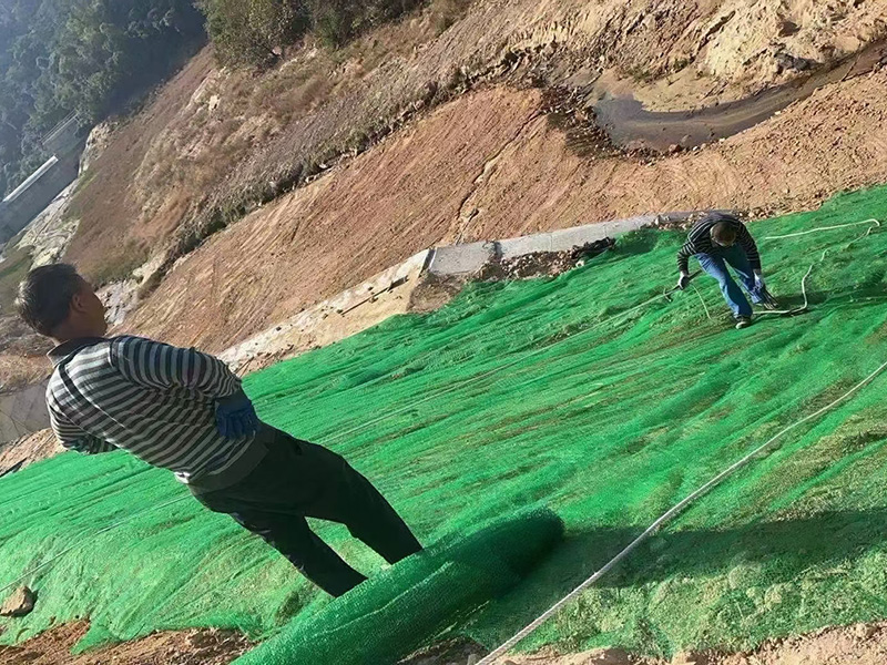三维植被网