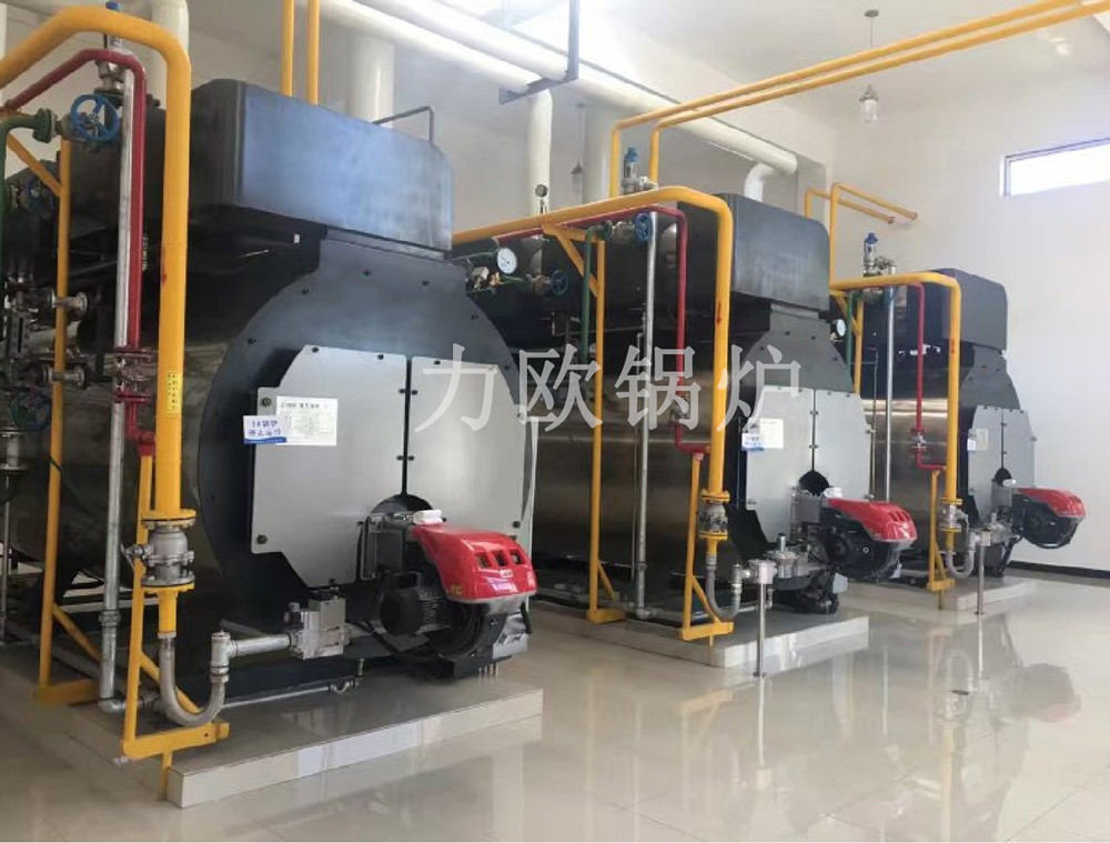 棒棰岛海产发展有限公司（辽宁大连3台WNS3蒸汽锅炉）